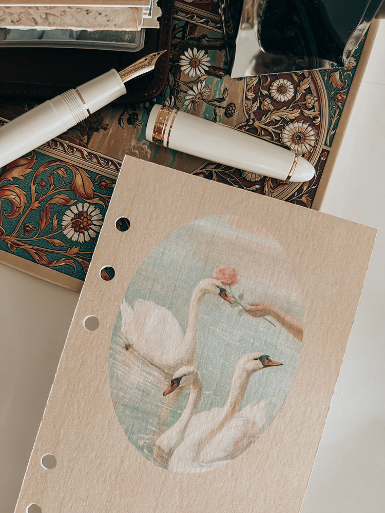 COLECCIÓN 12 PORTADAS