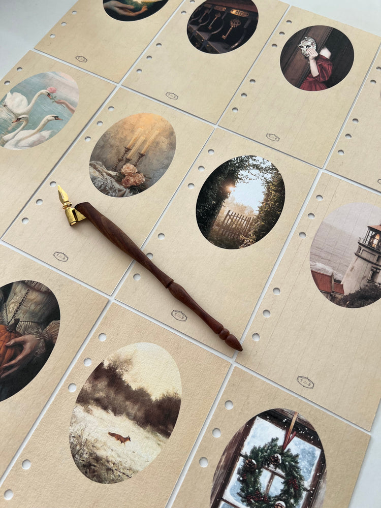 COLECCIÓN 12 PORTADAS