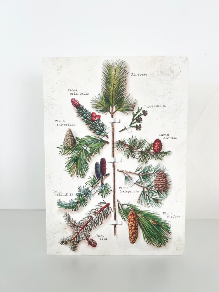 POSTAL NAVIDEÑA Natura