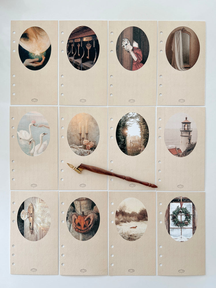 COLECCIÓN 12 PORTADAS