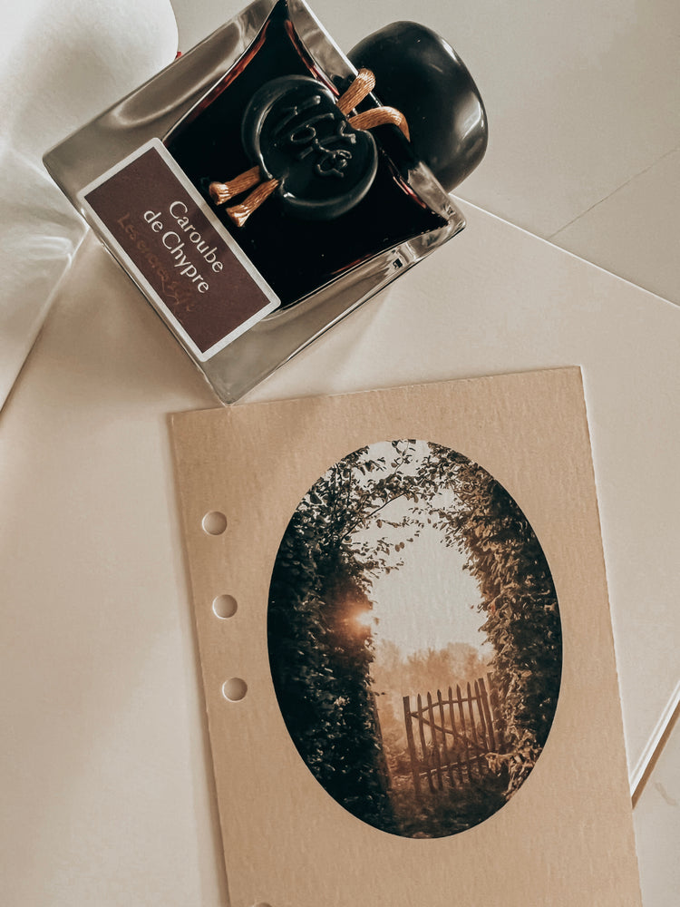 COLECCIÓN 12 PORTADAS