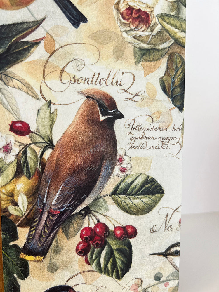 CUADERNO A5 Aves y Frutas caramelo