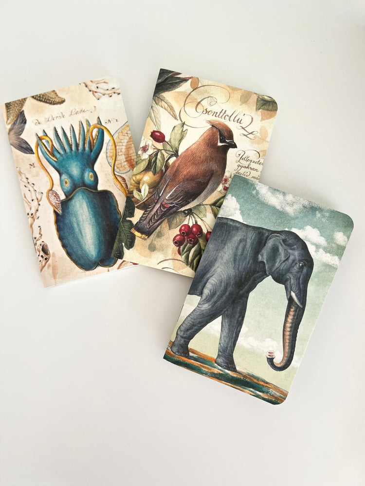 CUADERNOS MEMO SET A8