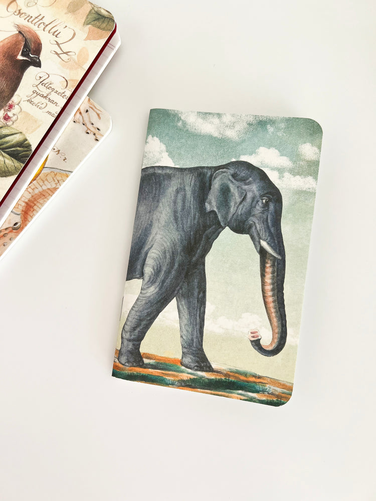 CUADERNOS MEMO SET A8